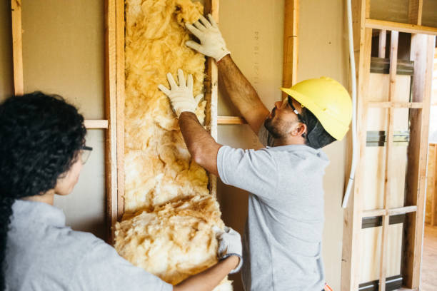 Best Spray Foam Insulation  in Seabrook Farms, NJ